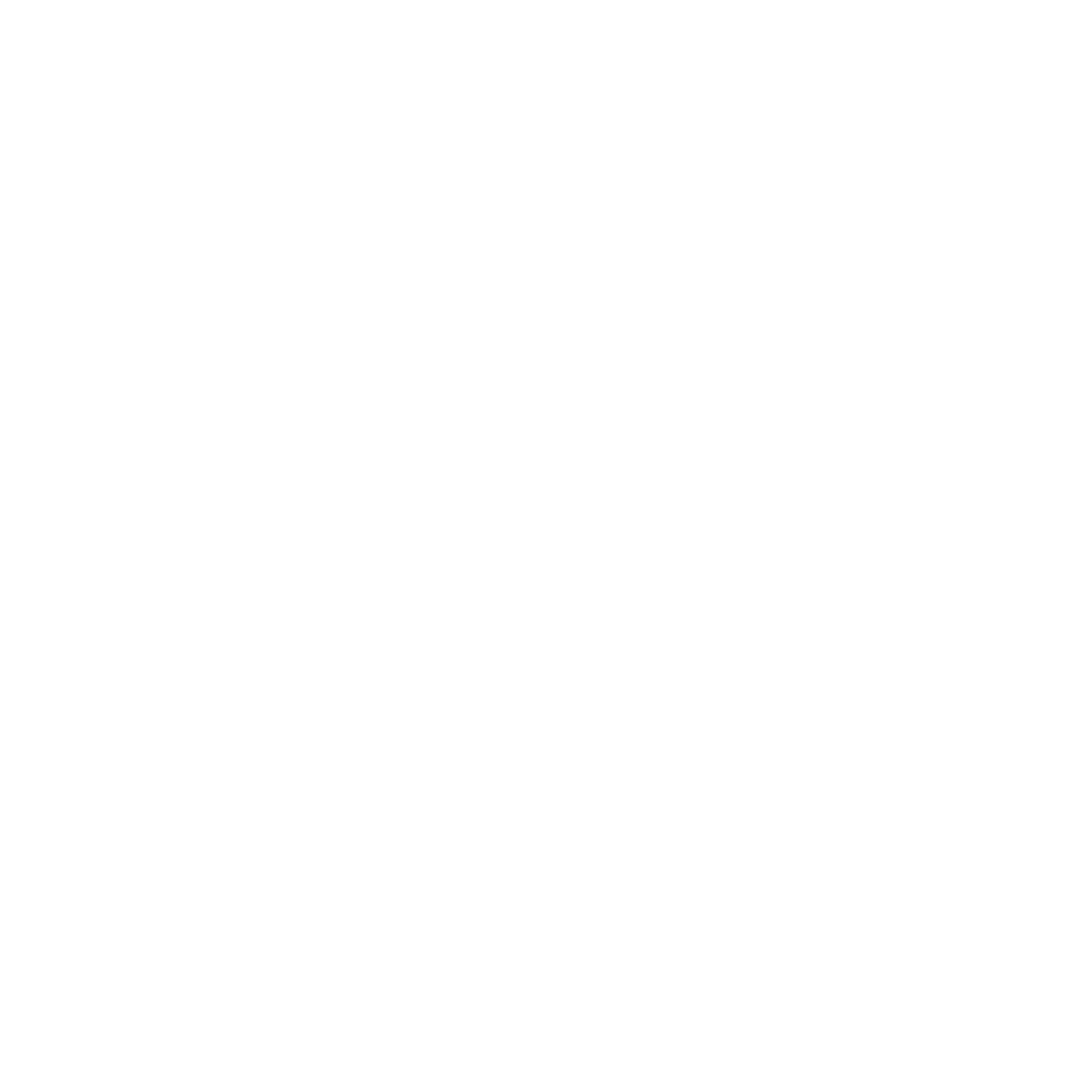 Noordlicht Logo